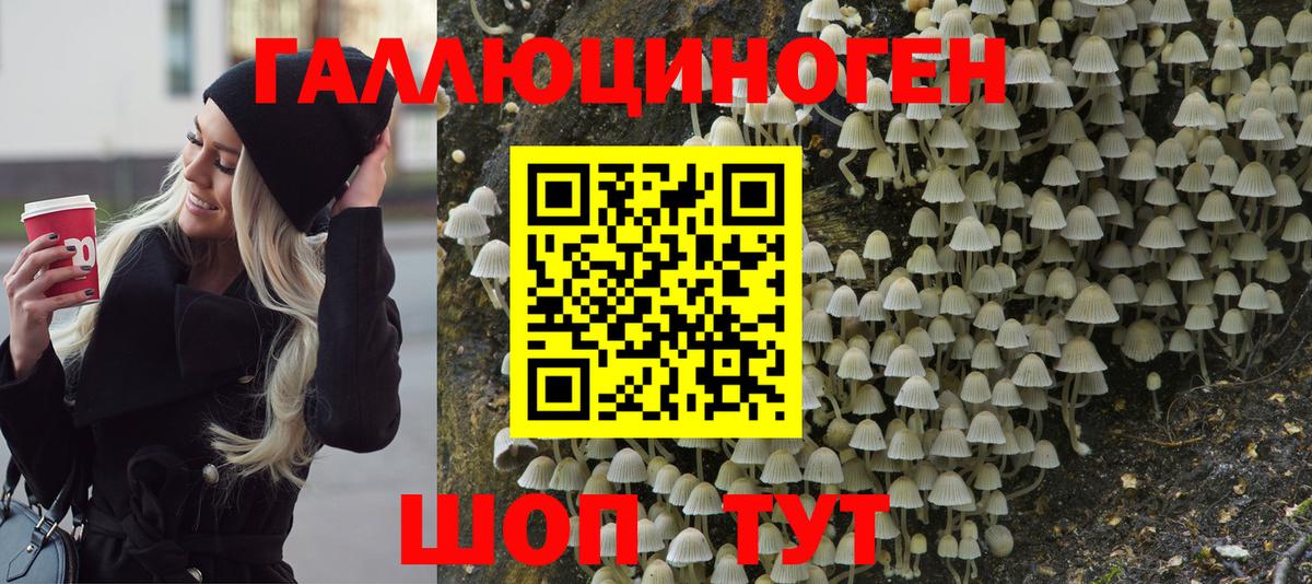 наркотики  Псилоцибиновые грибы ЛСД  Вход с VPN  Каменка 
