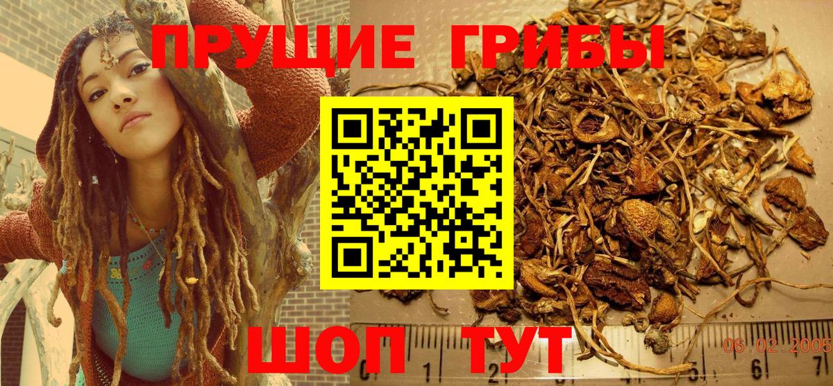 Псилоцибиновые грибы MAGIC MUSHROOMS Каменка